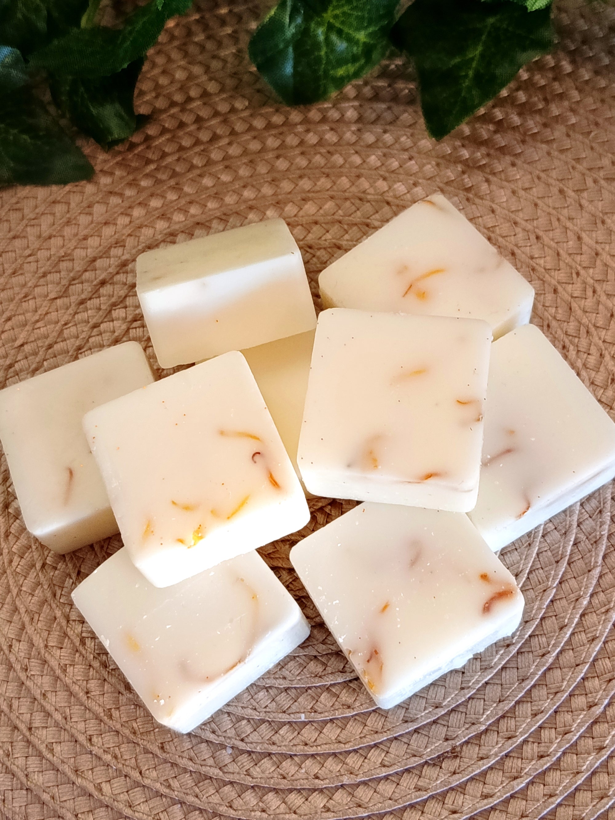 Wax Melts CITRUS BREEZE