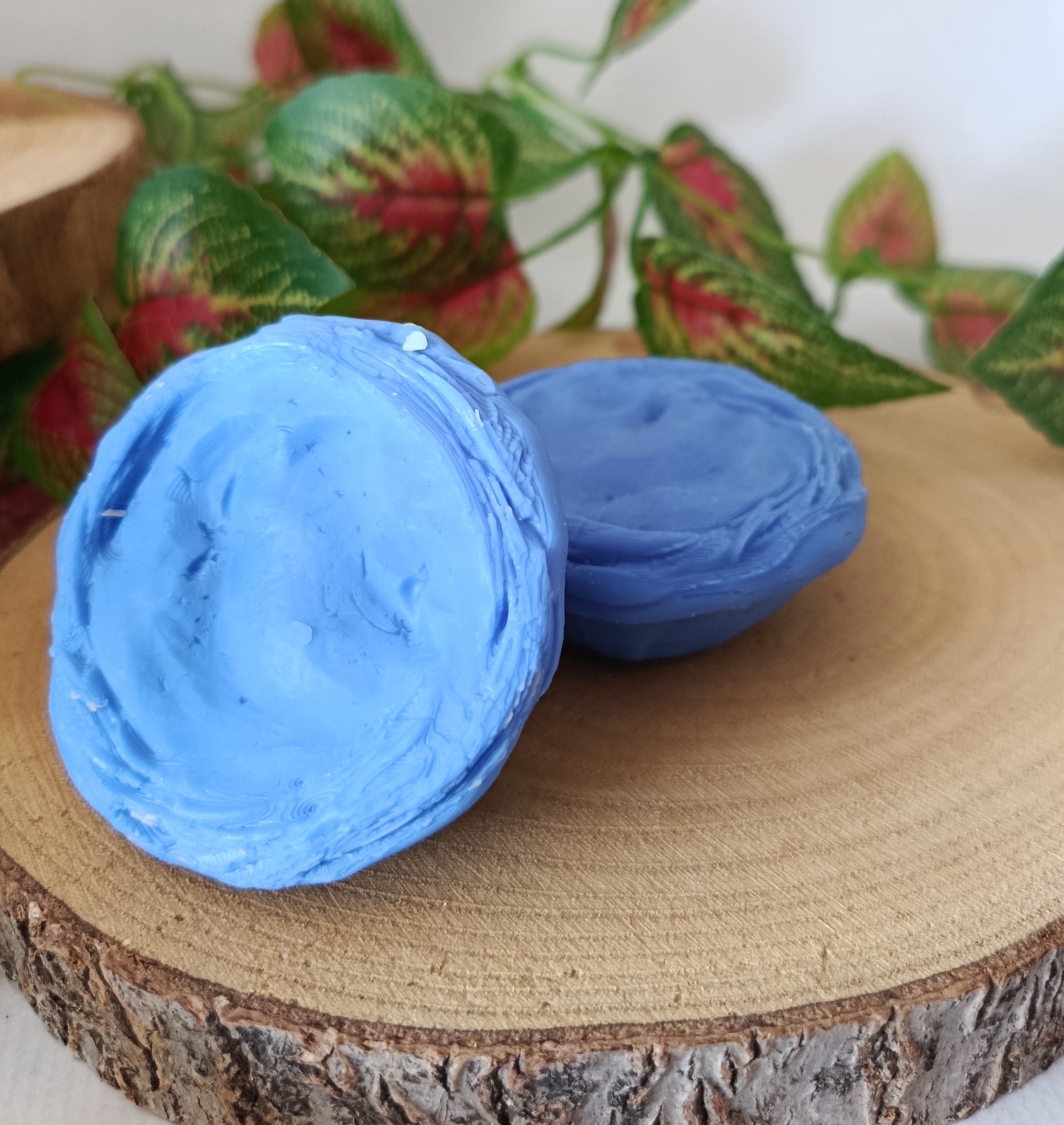 Wax Melts OCEAN BLISS (Pasteis de Nata)
