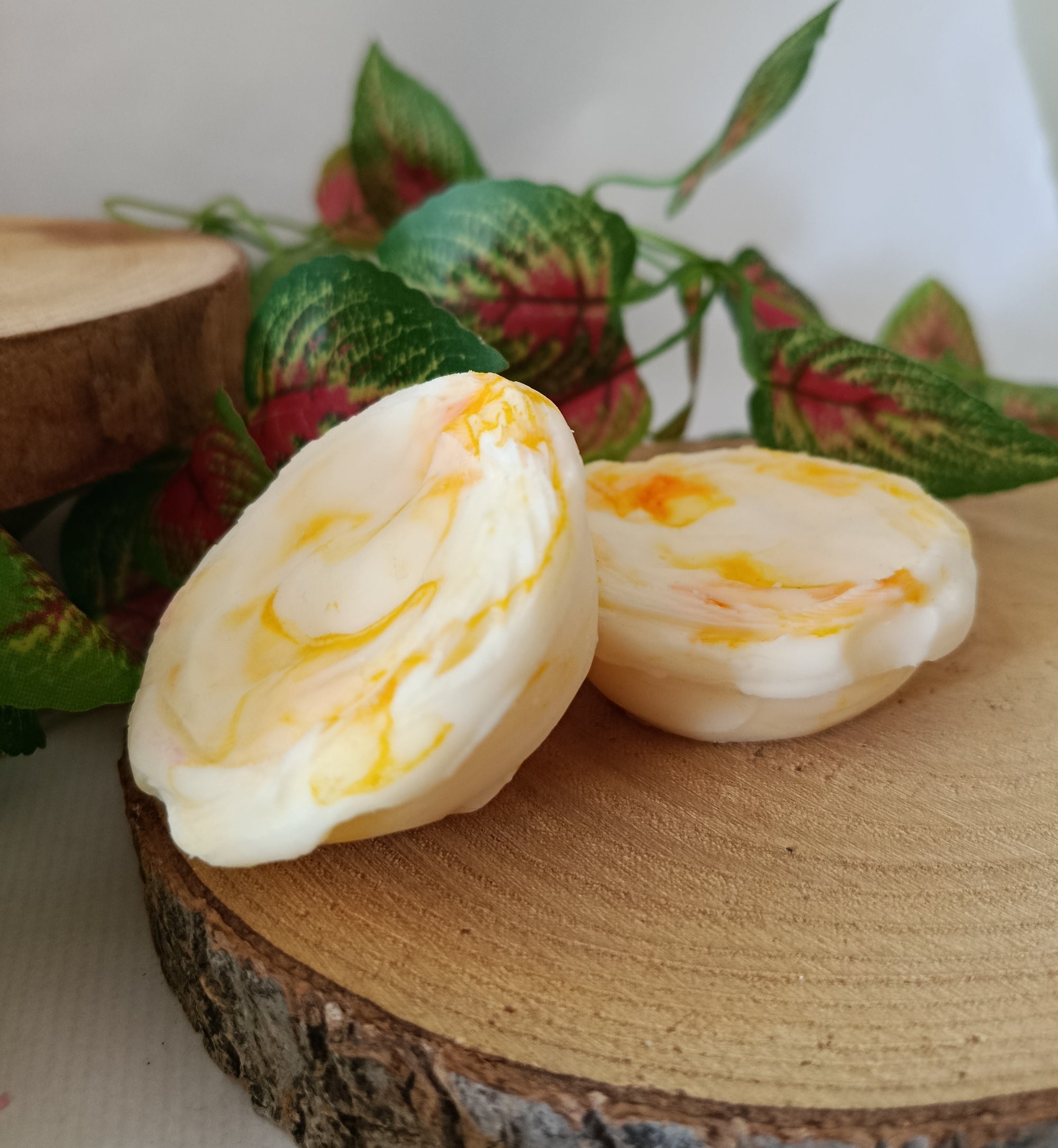 Wax Melts CITRUS BREEZE (Pasteis de Nata)