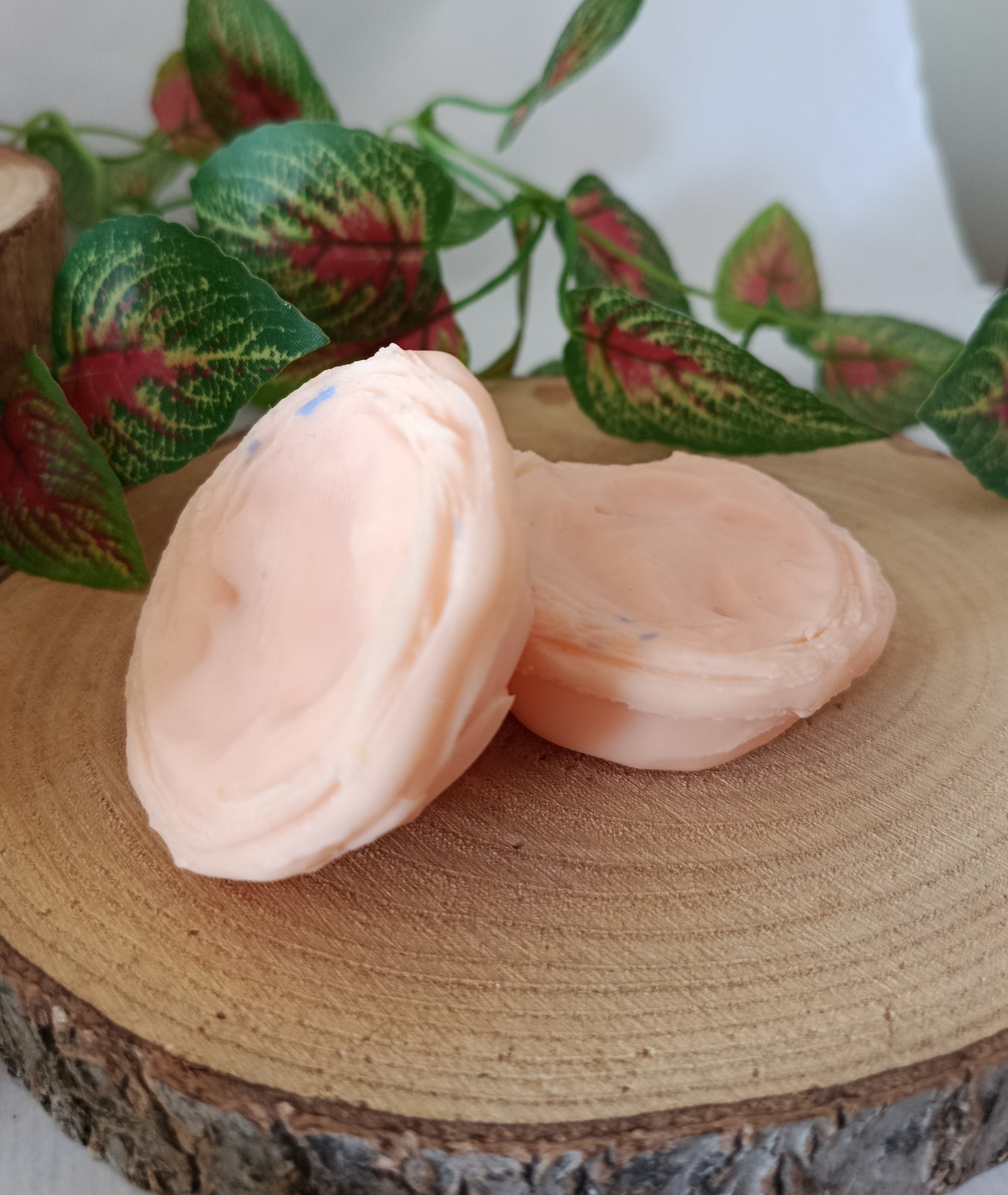 Wax Melts RISING SUN (Pasteis de Nata)