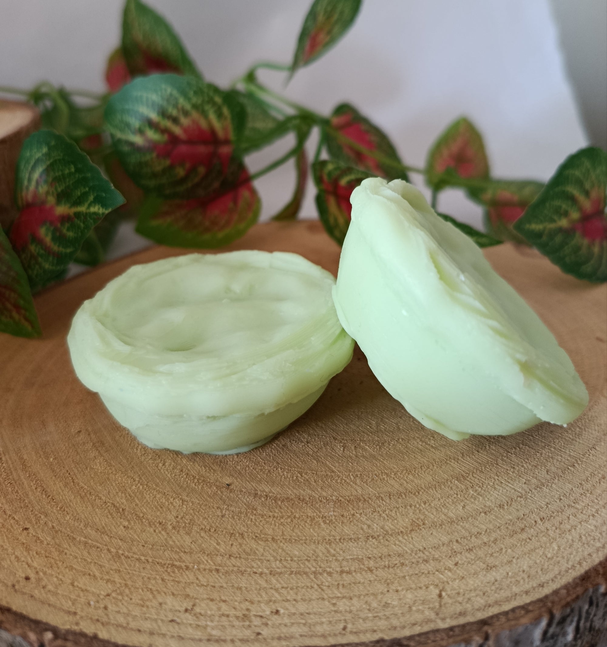 Wax Melts DOURO VINEYARDS (Pasteis de Nata)